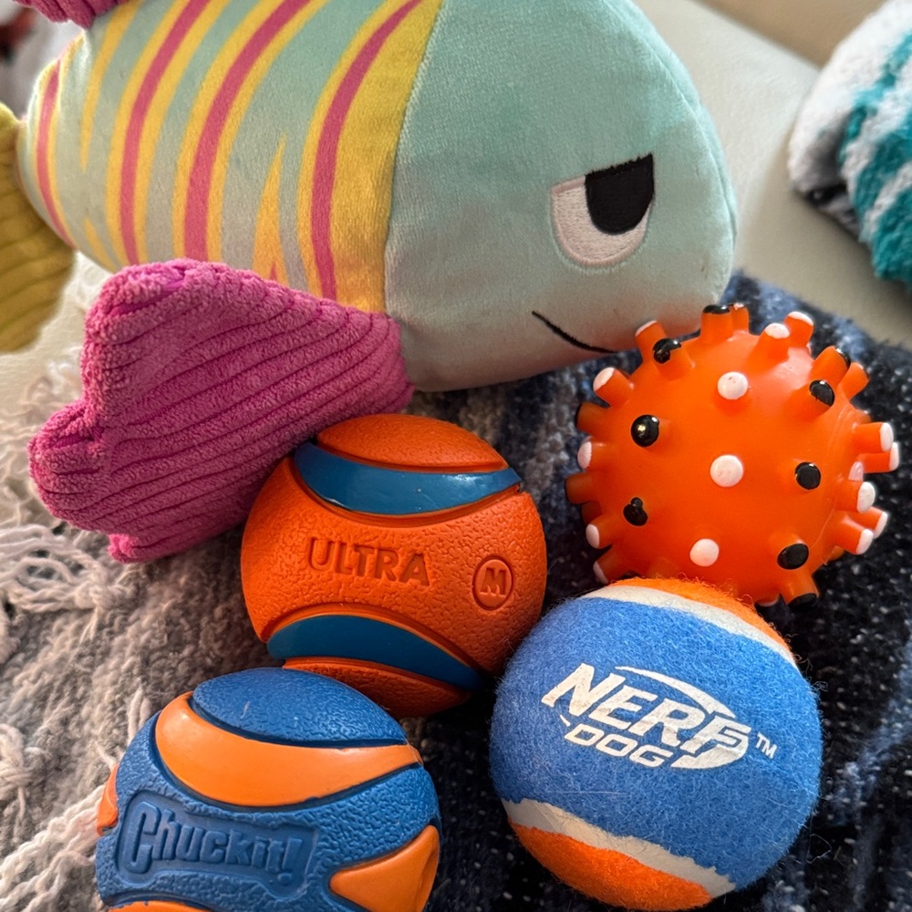 Collection of Chuckit, Nerf Dog Ball, Spiked squeaker ball and Squeaker Fish.